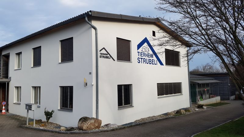 Tierheim Strubeli